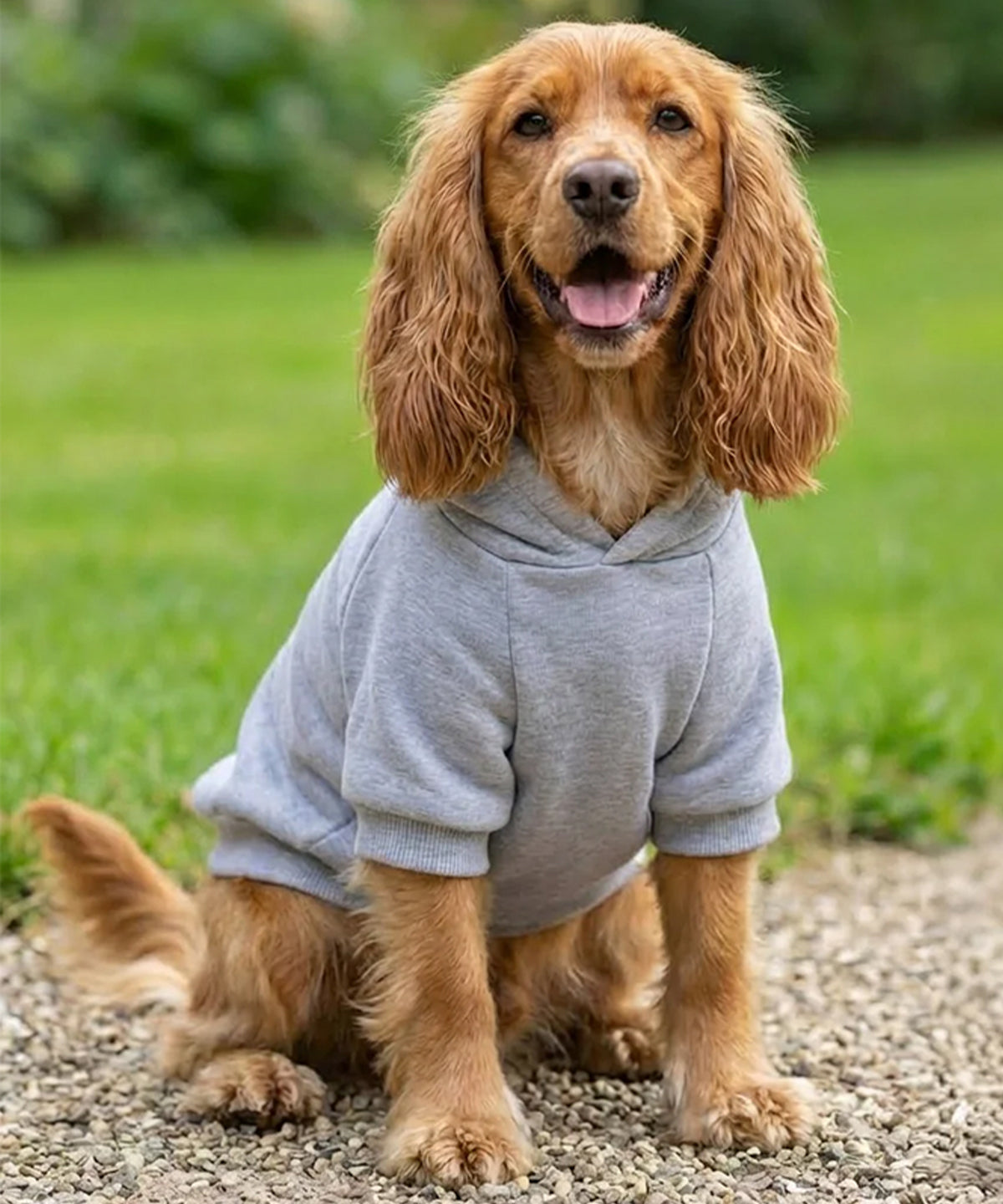 Bedrukbare Honden Hoodie PP002 Ribbed Fleece