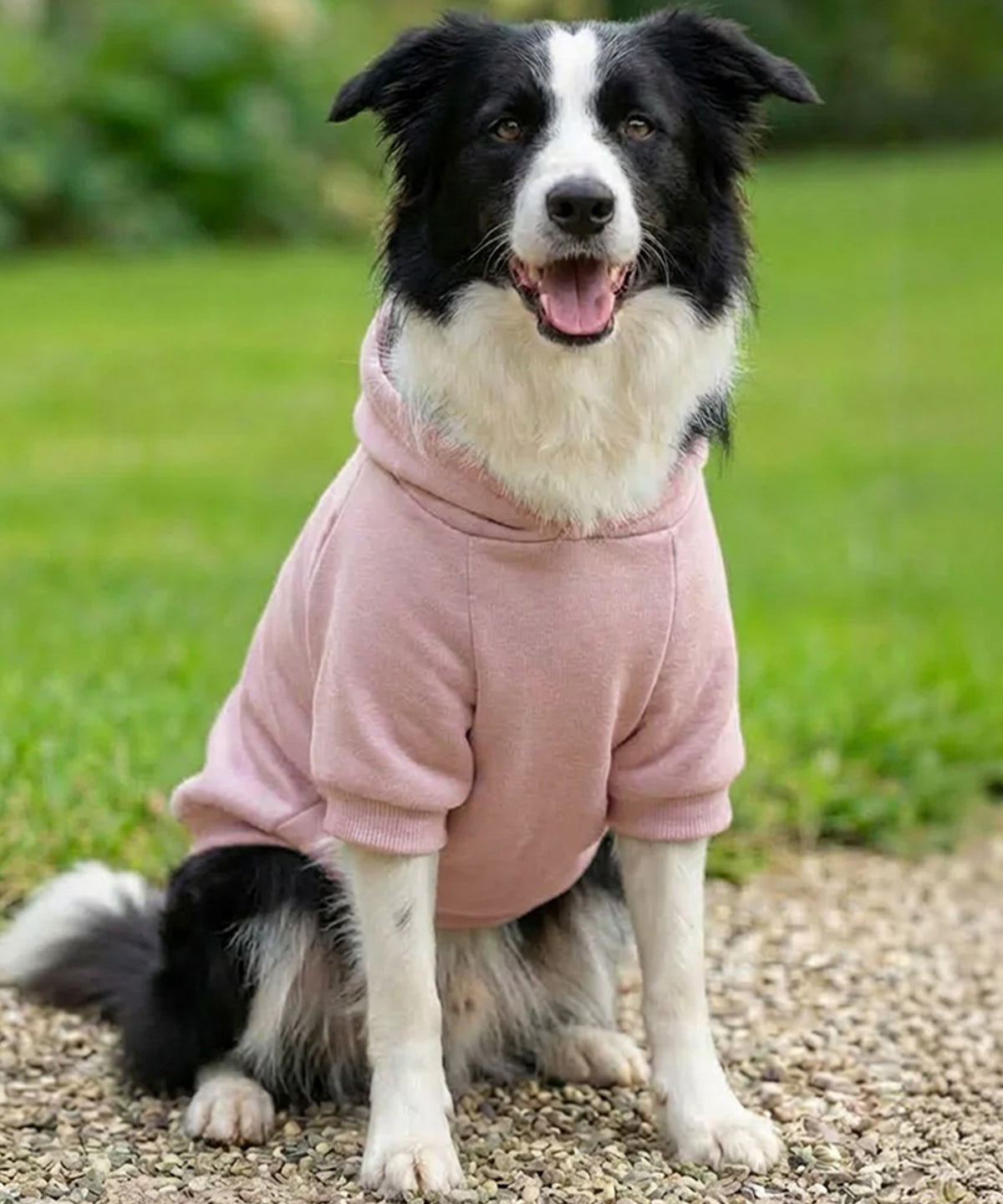 Bedrukbare Honden Hoodie PP002 Ribbed Fleece
