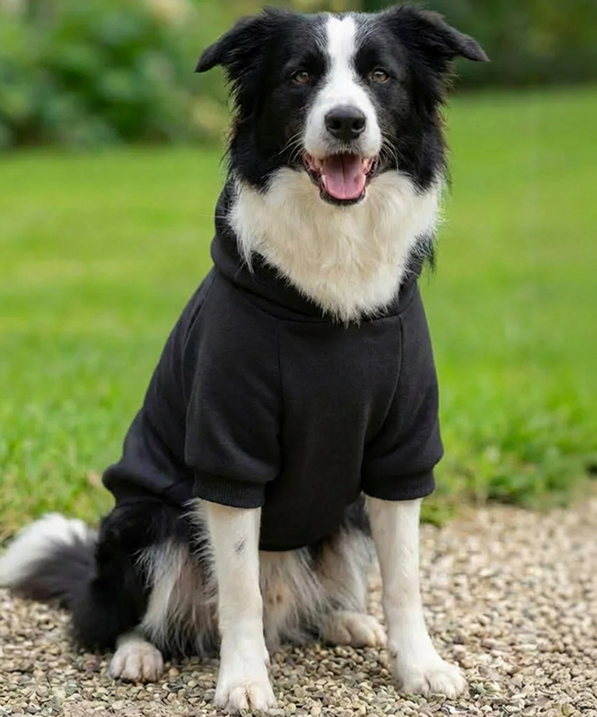 Bedrukbare Honden Hoodie PP002 Ribbed Fleece
